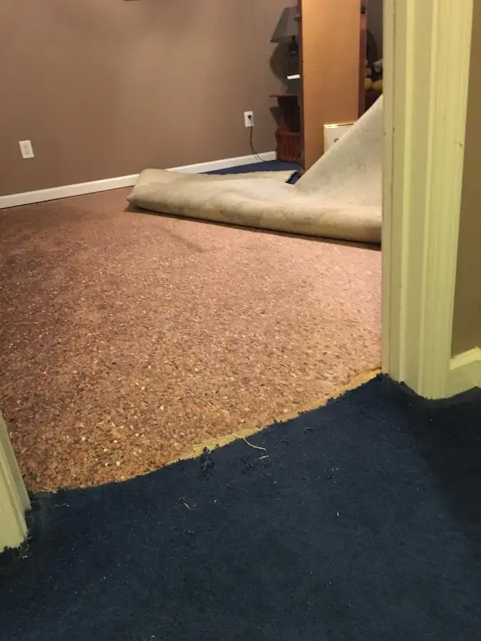 Carpet pad removal revealing water damage during Water Mitigation Services in Mishawaka